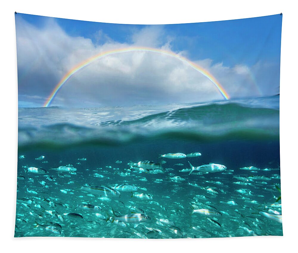  Sea Tapestry featuring the photograph Under the Rainbow by Sean Davey
