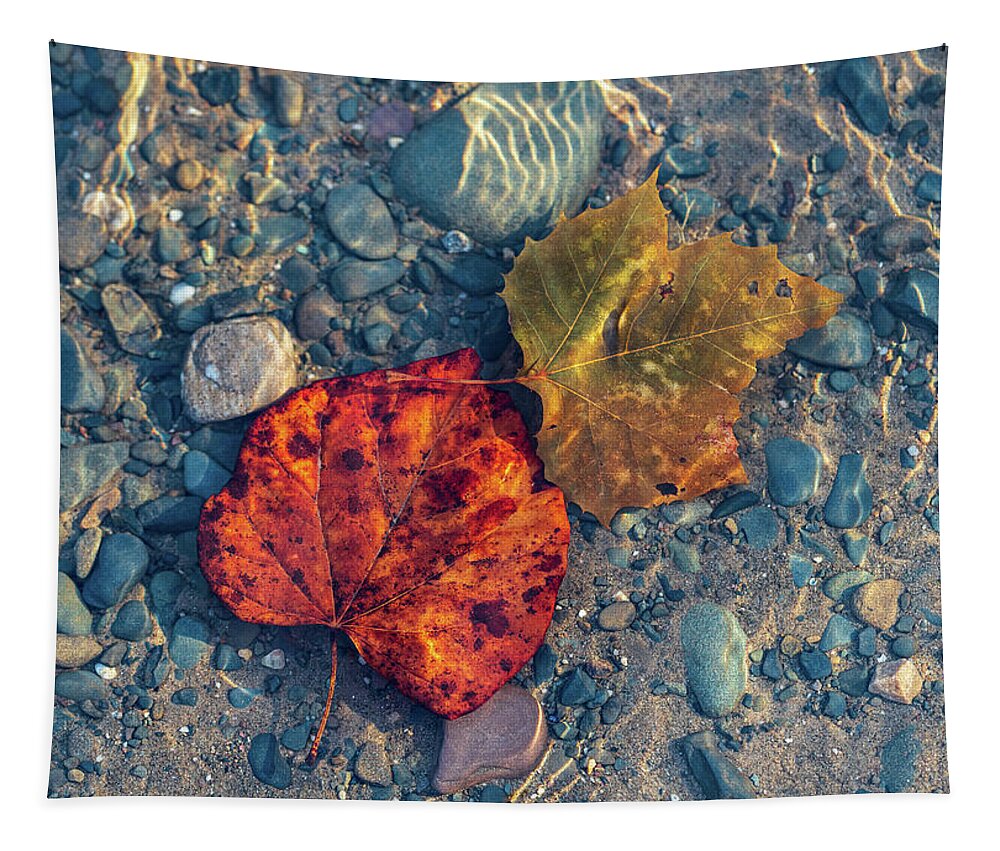 Delaware River Tapestry featuring the photograph Underwater Worlds - Delaware River Photography by Amelia Pearn