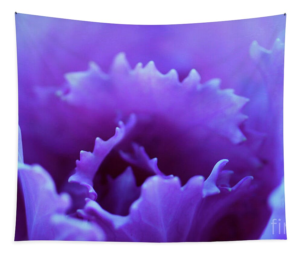 Lavender Tapestry featuring the photograph Unfolding of the Cabbage by Judi Bagwell