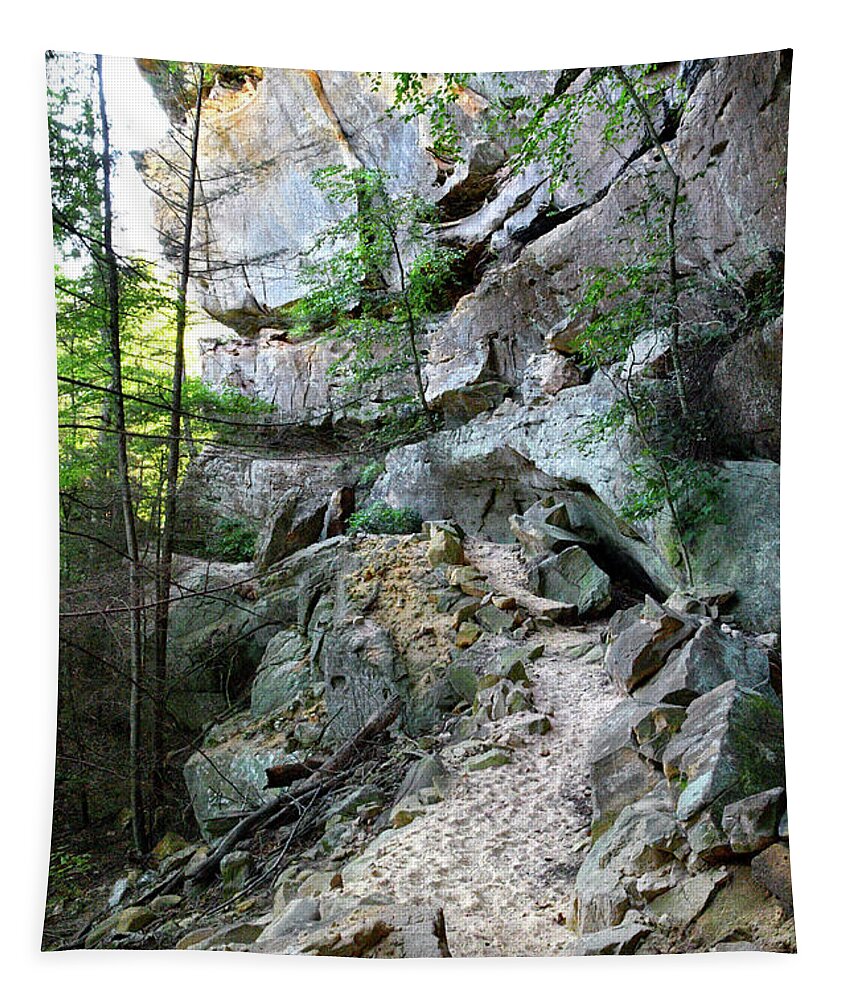 Pogue Creek Canyon Tapestry featuring the photograph Unnamed Rock Face 7 by Phil Perkins