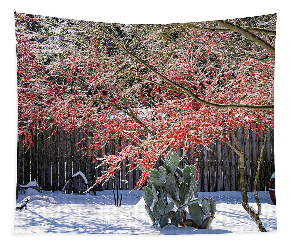 Georgetown Tapestry featuring the photograph Unusual Winter at Home by Bob Phillips
