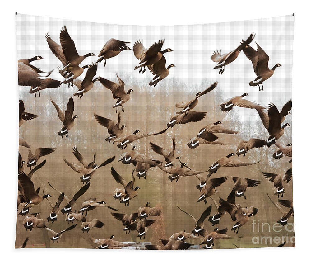 Canadian Geese Tapestry featuring the photograph Up, Up and Away by Scott Cameron