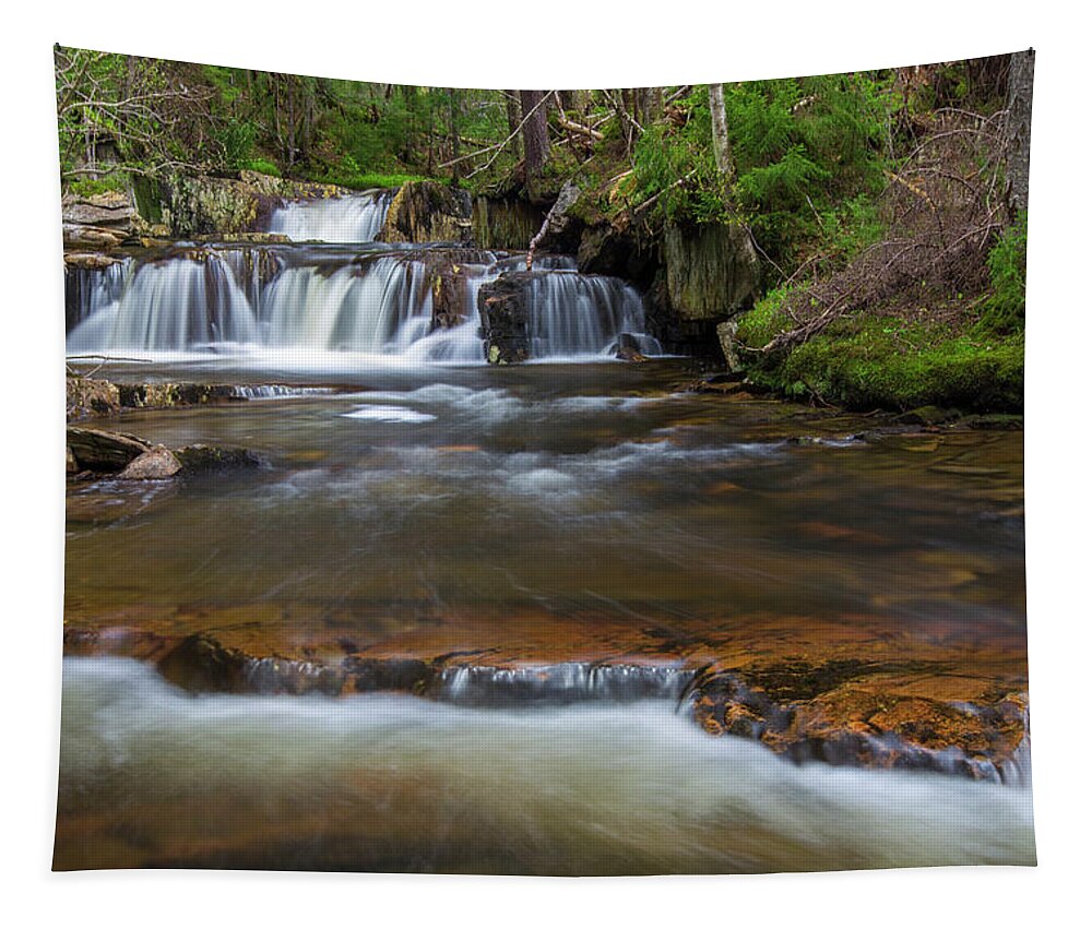 Upper Tapestry featuring the photograph Upper Nathan Pond Brook Cascade by Chris Whiton