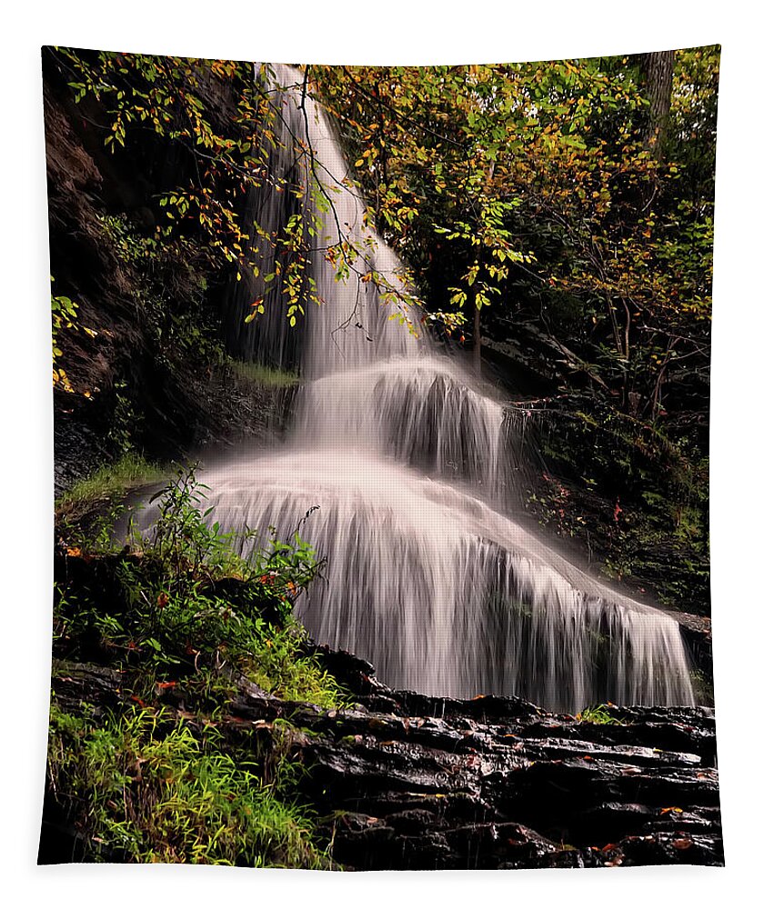 Waterfall Tapestry featuring the photograph upper portion of Cathedral Falls by Flees Photos