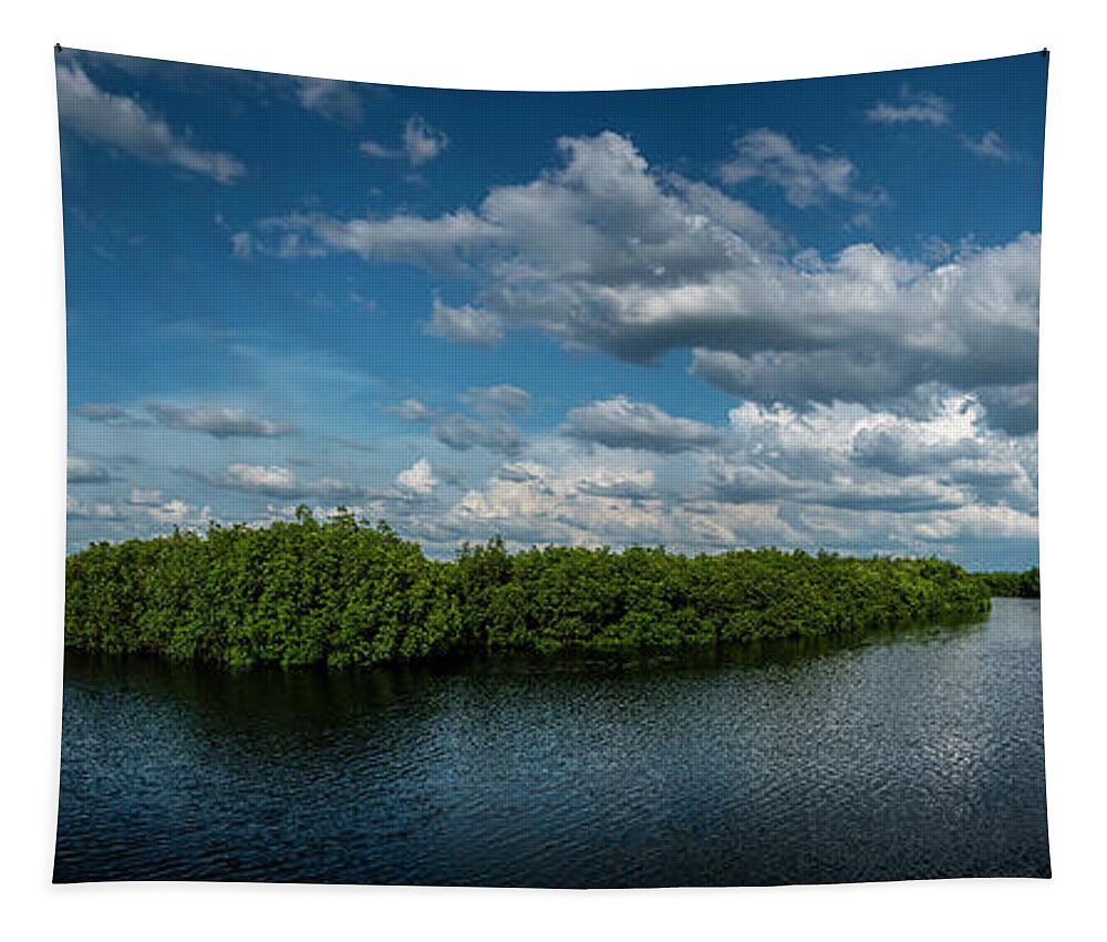 Florida Tapestry featuring the photograph Upper Tampa Bay Park by Marvin Spates