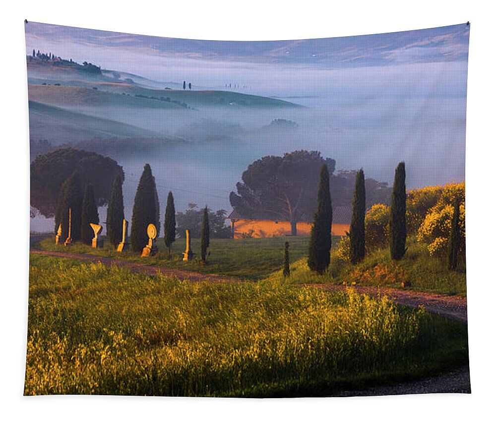 Italy Tapestry featuring the photograph Val d'Orcia by Evgeni Dinev