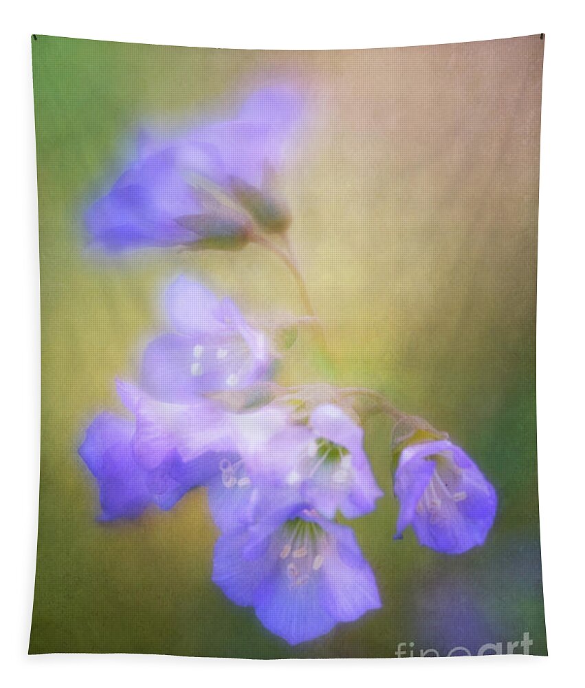 Flowers Tapestry featuring the photograph Valerian with a Soft Touch by Anita Pollak