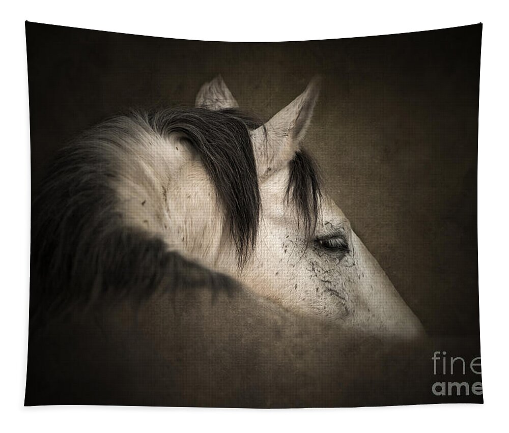 Horse Tapestry featuring the photograph Valiant Stallion by Lisa Manifold