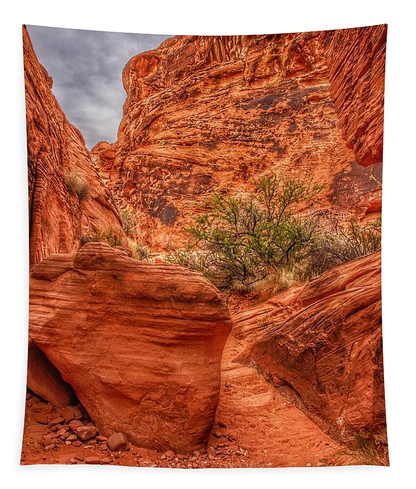  Tapestry featuring the photograph Valley of Fire Earthscapes 9 by Rodney Lee Williams