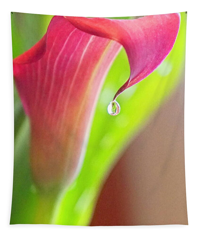 Flower Tapestry featuring the photograph Van Zyverden Callas Lily Pink Jewel by Bill TALICH