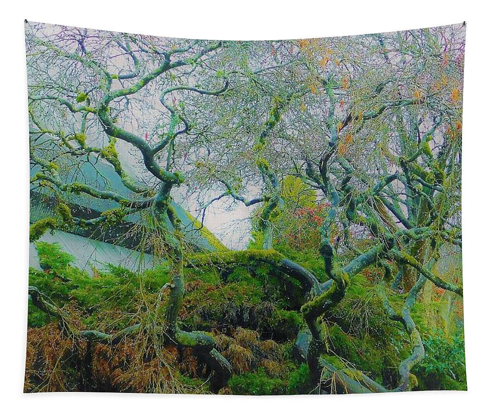 - Vancouver Bc Tree 3 Tapestry featuring the photograph - Vancouver BC Tree 3 by THERESA Nye