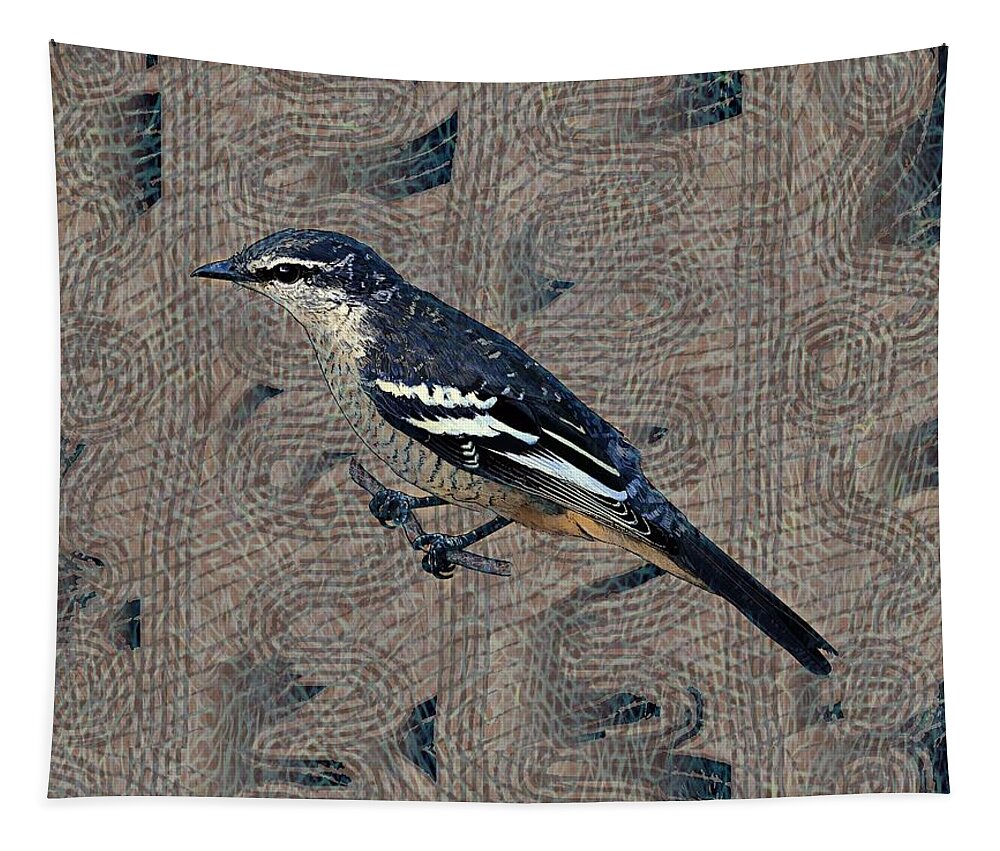 Portrait Tapestry featuring the drawing Varied Triller Bird Illustration by Joan Stratton