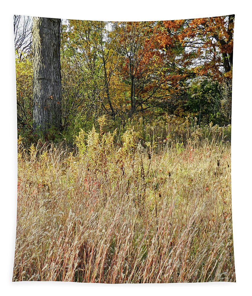 Long Grasses Tapestry featuring the photograph Various Long Grasses with a Background of Trees, Autumn, Saratoga County, NY by Lise Winne