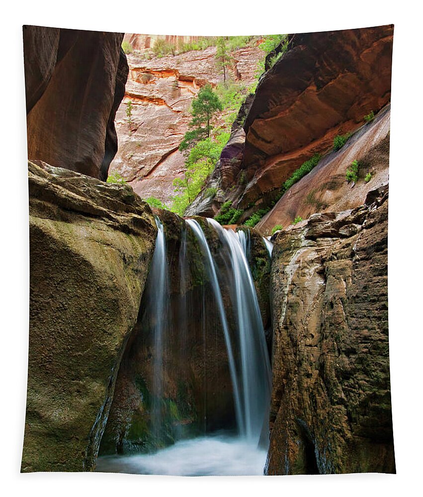 Veiled Falls Narrows Tapestry featuring the photograph Veiled Falls by Wesley Aston