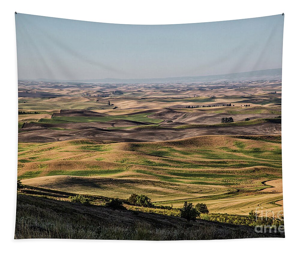 Agriculture Tapestry featuring the photograph Velvet Hills by Kathy McClure