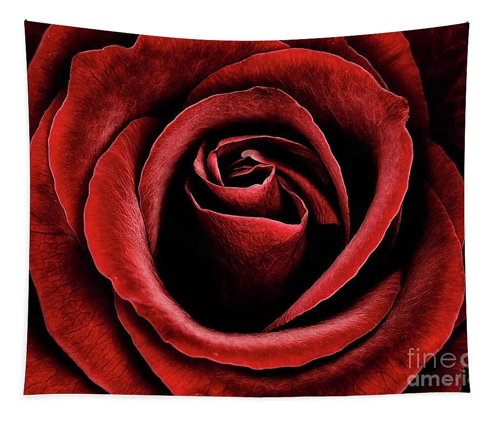 Velvet Red Rose Flower Beauty Beautiful Delightful Shining From Dark Proud Black Fantastic Vivid Vibrant Colour Colourful Color Colorful Poetic Magical Macro Impressive Impression Contrast Floral Still-life Attractive  Tapestry featuring the photograph Velvet Red Rose by Tatiana Bogracheva
