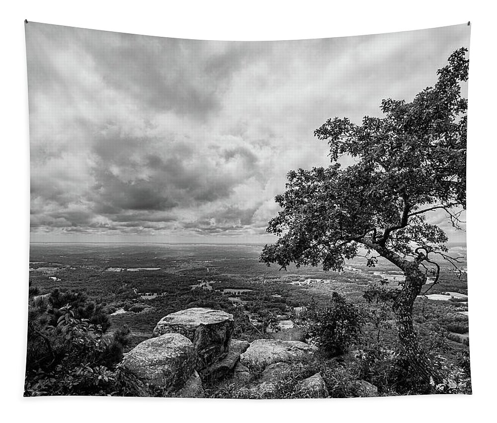 Pilot Mountain Tapestry featuring the photograph View From the Top of Pilot Mountain by Bob Decker