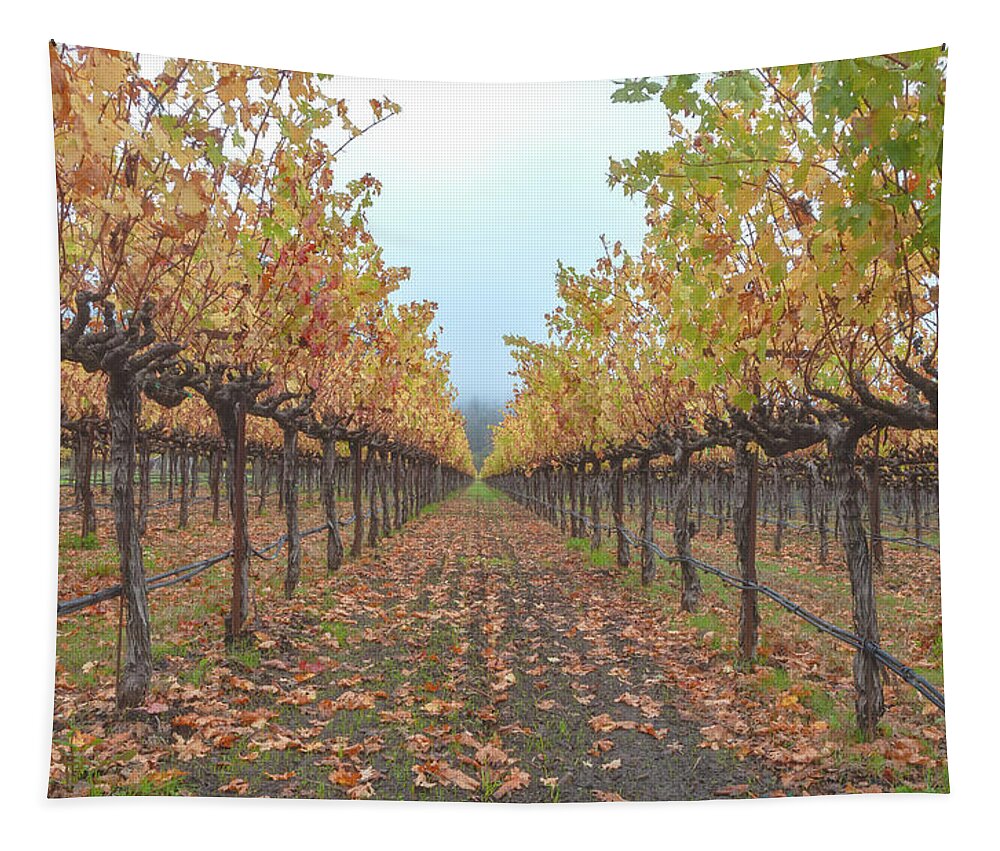 Season Tapestry featuring the photograph Vines Forest by Jonathan Nguyen