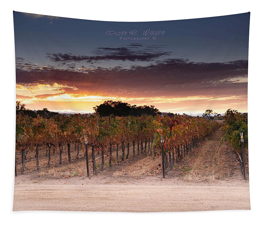 Landscape Tapestry featuring the photograph Vineyard Sunset by Devin Wilson