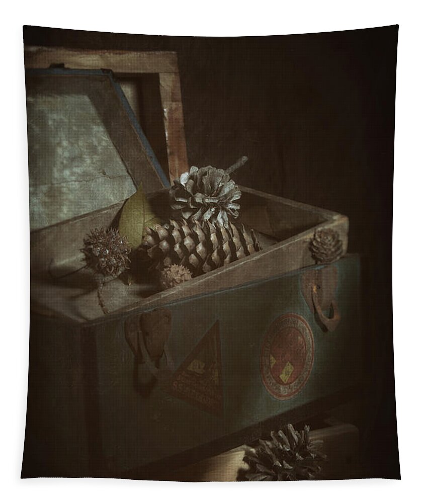 Pine Cone Tapestry featuring the photograph Vintage Chest with Pine Cones by Tom Mc Nemar