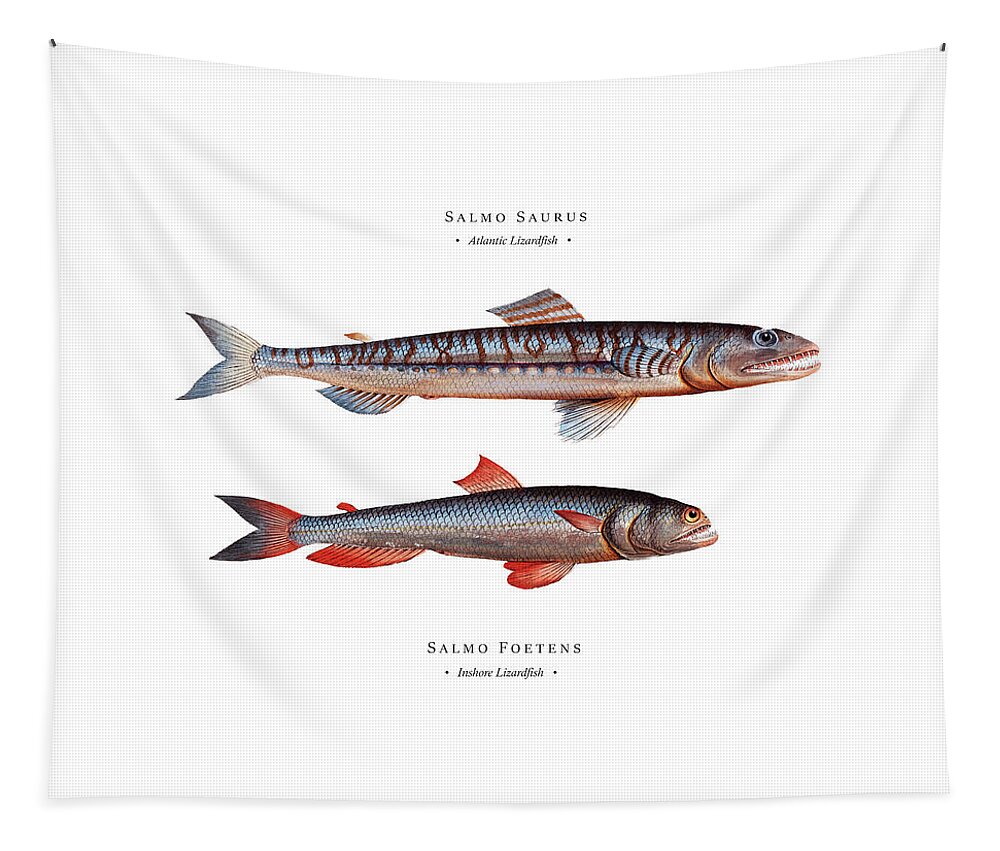 Illustration Tapestry featuring the digital art Vintage Fish Illustration - Atlantic Lizardfish, Inshore Lizardfish by Studio Grafiikka