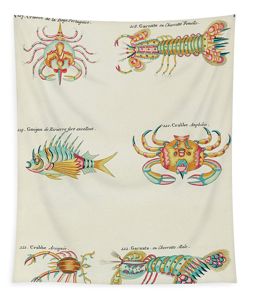 Fish Tapestry featuring the digital art Vintage, Whimsical Fish and Marine Life Illustration by Louis Renard - Crabbe, Goujon, Garnate by Louis Renard