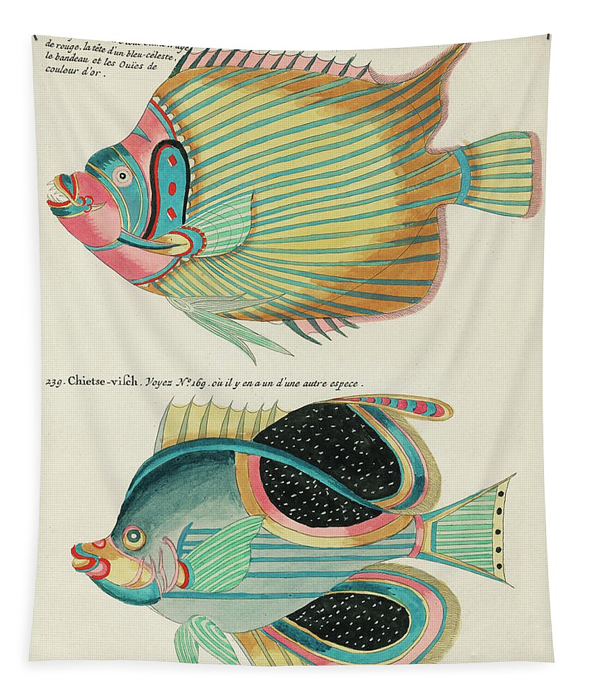 Fish Tapestry featuring the digital art Vintage, Whimsical Fish and Marine Life Illustration by Louis Renard - Empereur du Japon, Chietse by Louis Renard