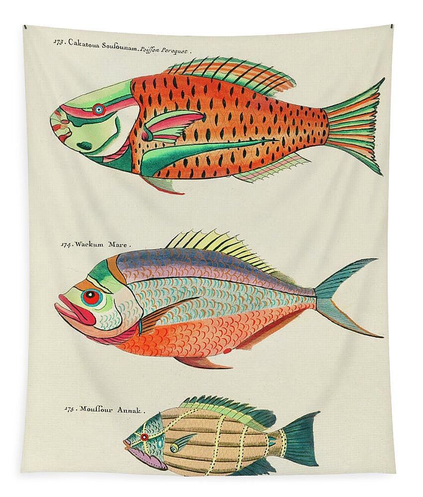 Fish Tapestry featuring the digital art Vintage, Whimsical Fish and Marine Life Illustration by Louis Renard - Poisson Peroquet, Wackum Mare by Louis Renard