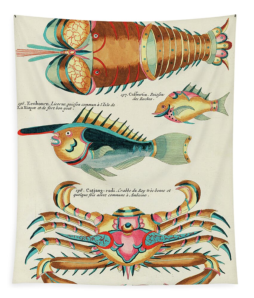 dozijn Voorbijganger emulsie Vintage, Whimsical Fish and Marine Life Illustration by Louis Renard - Tafel  Kreeft, Catjang Radi Tapestry by Louis Renard - Fine Art America