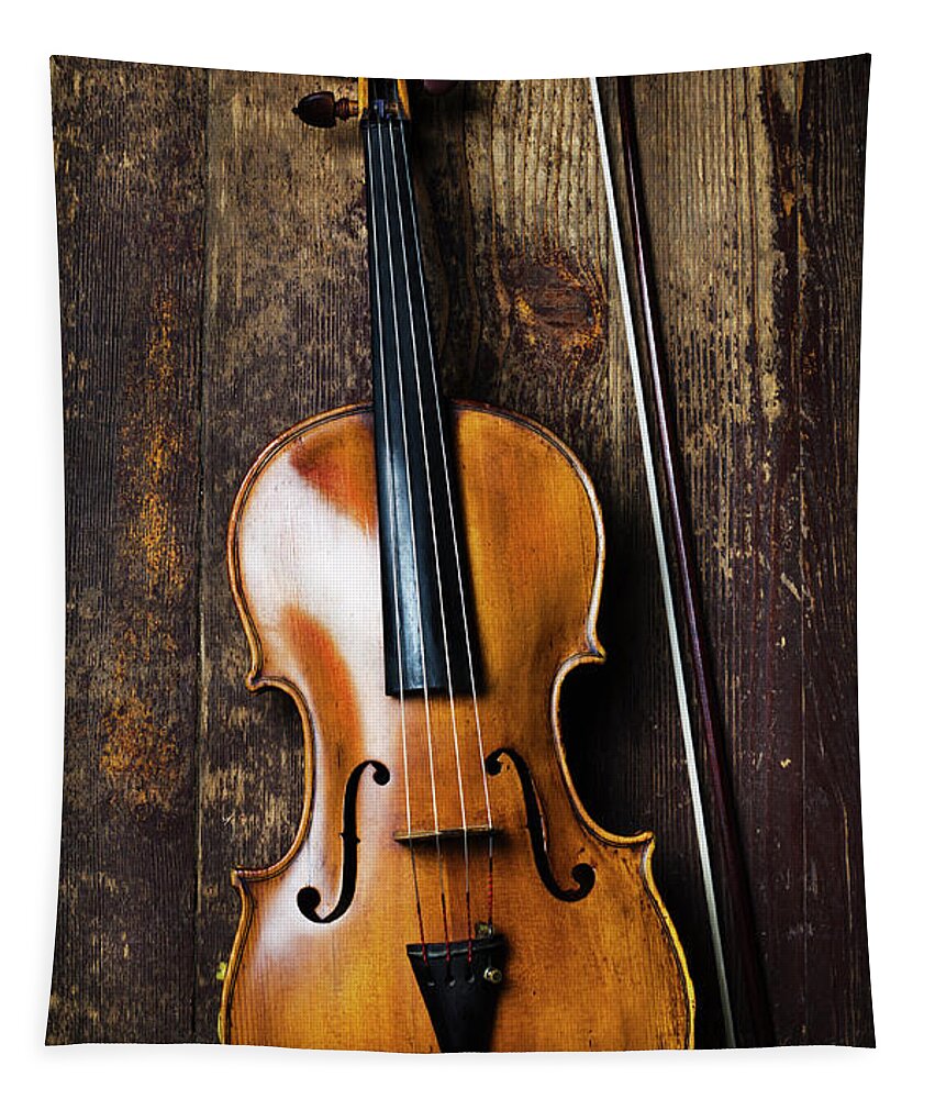 Violin Tapestry featuring the photograph Viola by Jelena Jovanovic