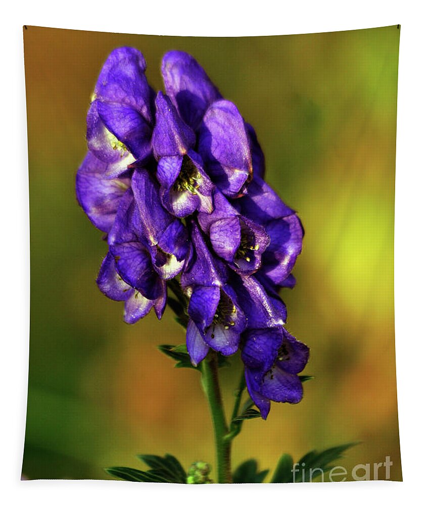 Violet Tapestry featuring the photograph Violet Autumnal Floral Poetry by Silva Wischeropp