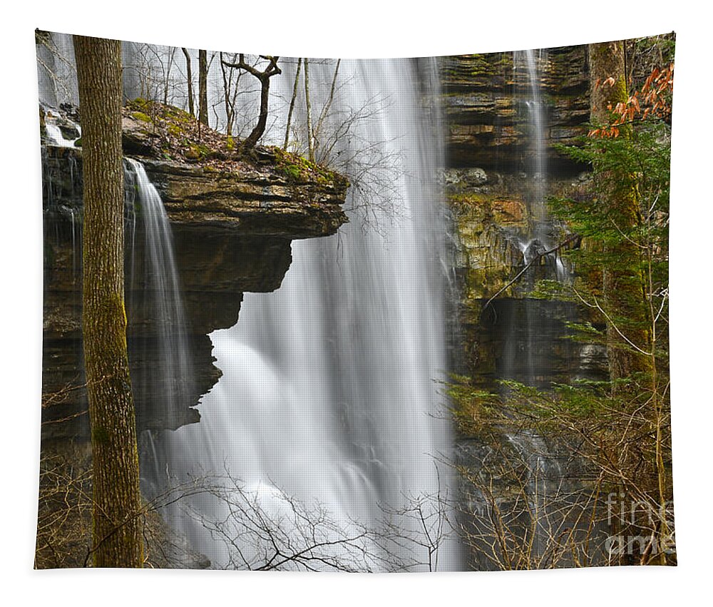 Virgin Falls Tapestry featuring the photograph Virgin Falls 7 by Phil Perkins