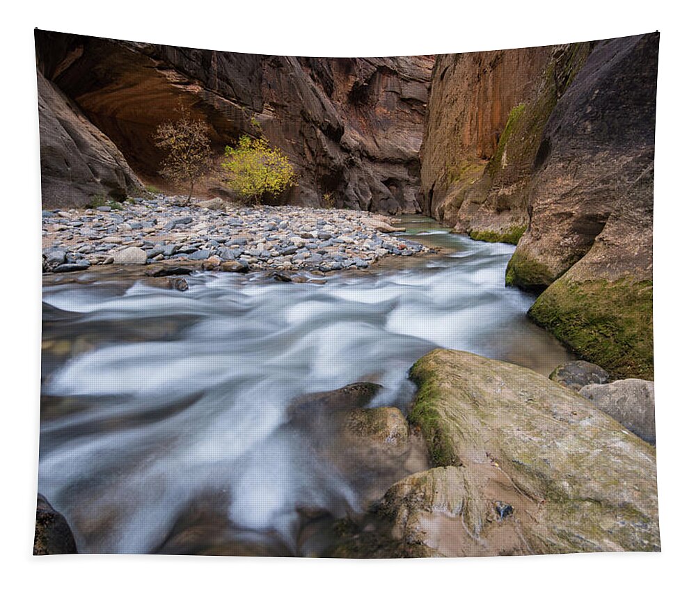 Zion Tapestry featuring the photograph Virgin River Narrows by Wesley Aston