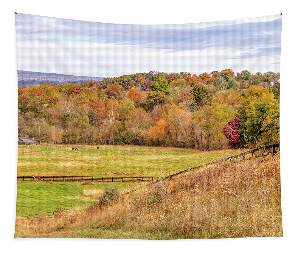 Fall Tapestry featuring the photograph Virginia Mountain Horse Pasture by Donna Twiford
