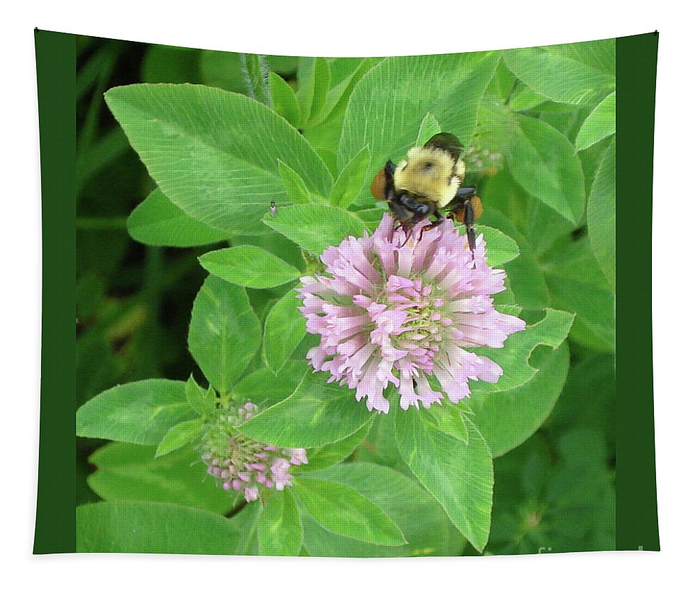 Bee Tapestry featuring the photograph Visitor by Patricia Overmoyer