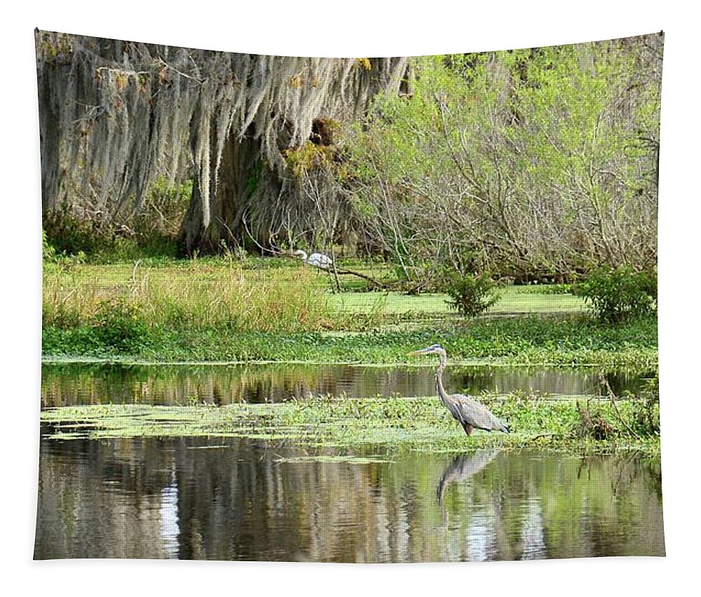 Marsh Tapestry featuring the photograph Wading Bird Way by Carol Bradley
