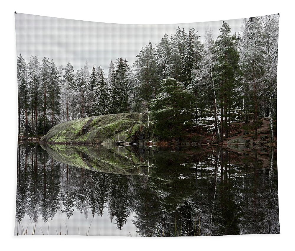 Finland Tapestry featuring the photograph Waiting the winter to come. Alisenjarvi by Jouko Lehto