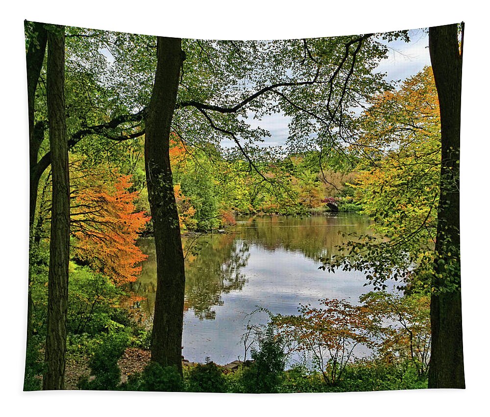 Pond Tapestry featuring the photograph Walden Pond in Central Park by Allen Beatty