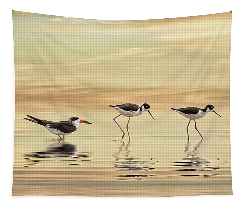 Birds Tapestry featuring the photograph Walk This Way by Brad Barton