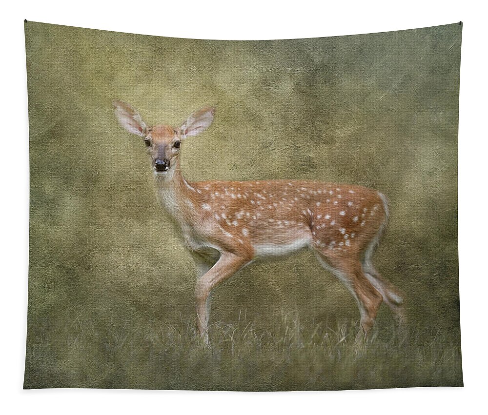 Deer Tapestry featuring the photograph Walking in Light by Jai Johnson