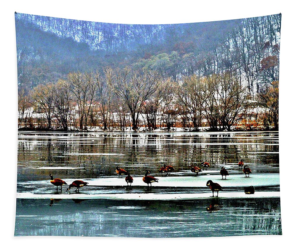 Geese Tapestry featuring the photograph Walking on Water by Susie Loechler