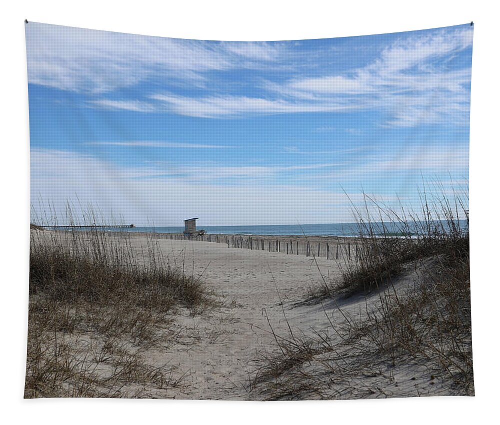 Sand Dunes Tapestry featuring the photograph Walkway to the beach by Karen Ruhl