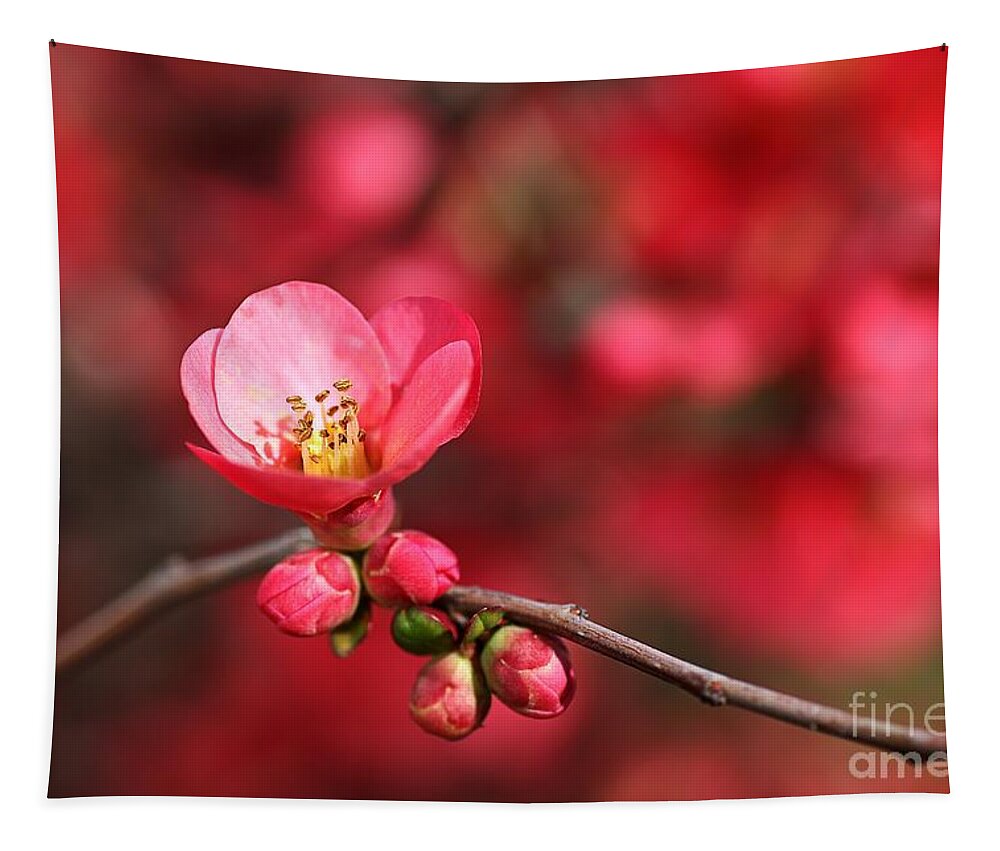 Flowering Quince Tapestry featuring the photograph Warmth Of Flowering Quince by Joy Watson