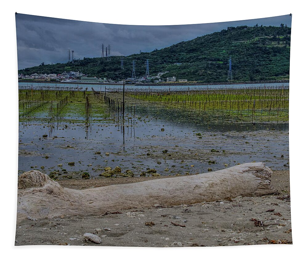 Log Tapestry featuring the photograph Washed up by Eric Hafner