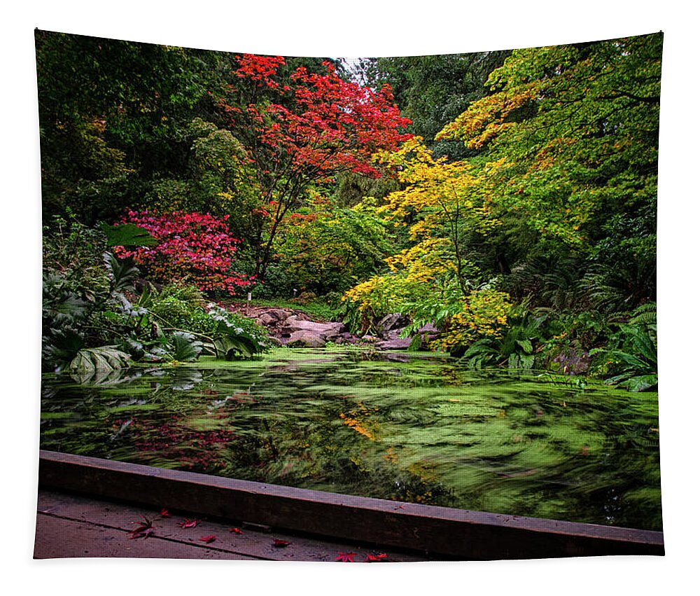 Fall Colors Tapestry featuring the photograph Washington Park Arboretum Fall Colors by Matt McDonald