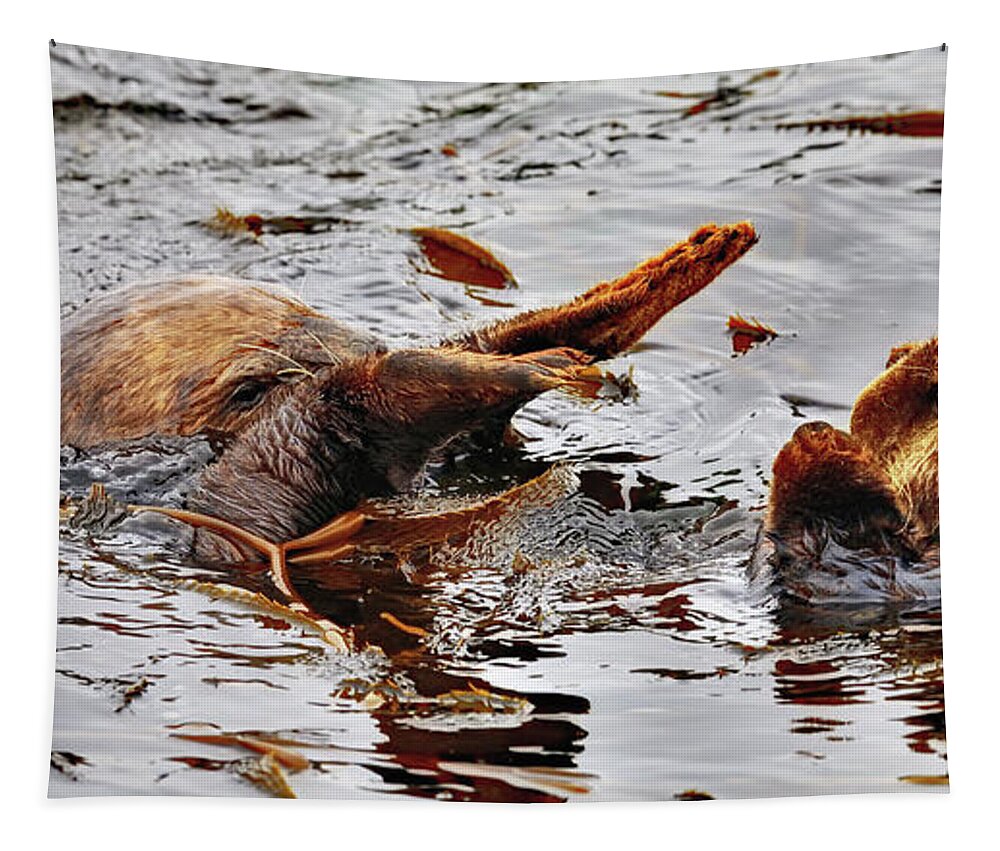 Sea Otter Tapestry featuring the photograph Watch where are you going by Amazing Action Photo Video