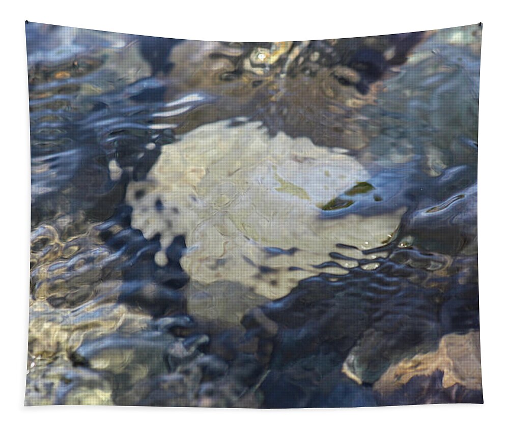Water Abstract Three In The Spring Methow River By Omashte Tapestry featuring the photograph Water Abstract Three in the Spring Methow River by Omashte by Omaste Witkowski