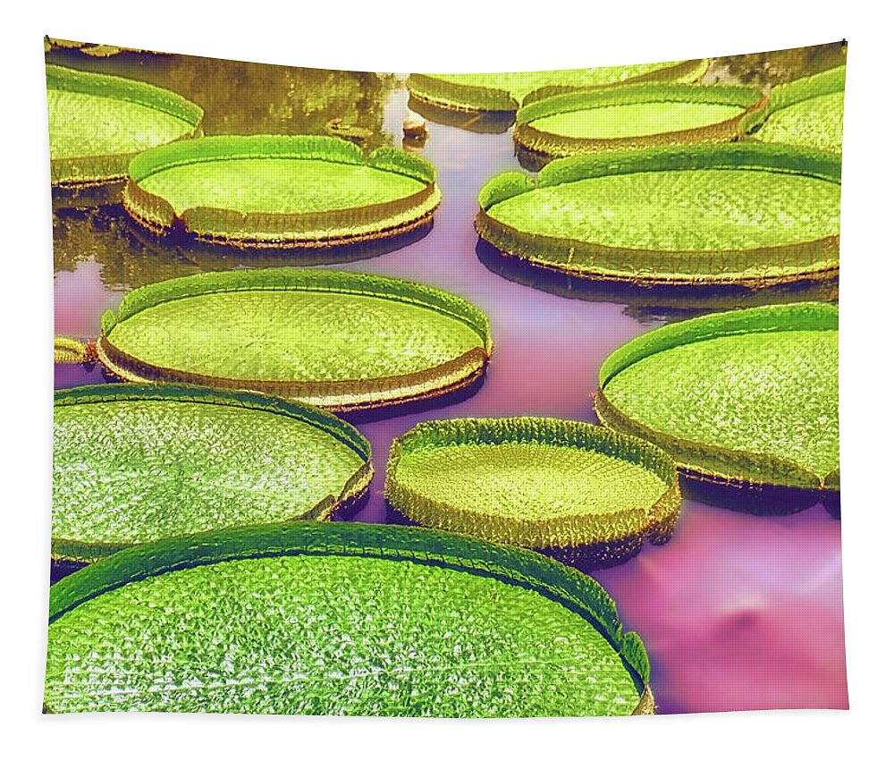 Horse Tapestry featuring the photograph Water lily in field garden by Artto Pan