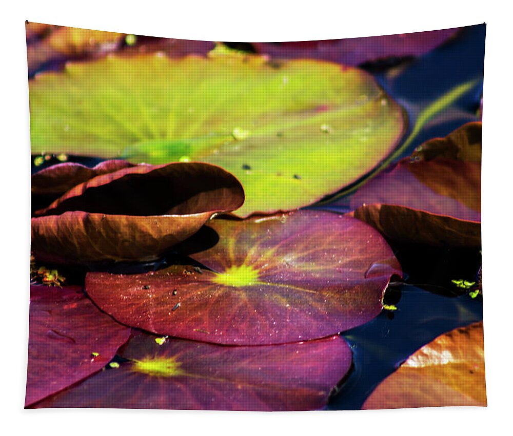 Landscape Tapestry featuring the photograph Water Lily Pads in Spring by Ruth Crofts Photography