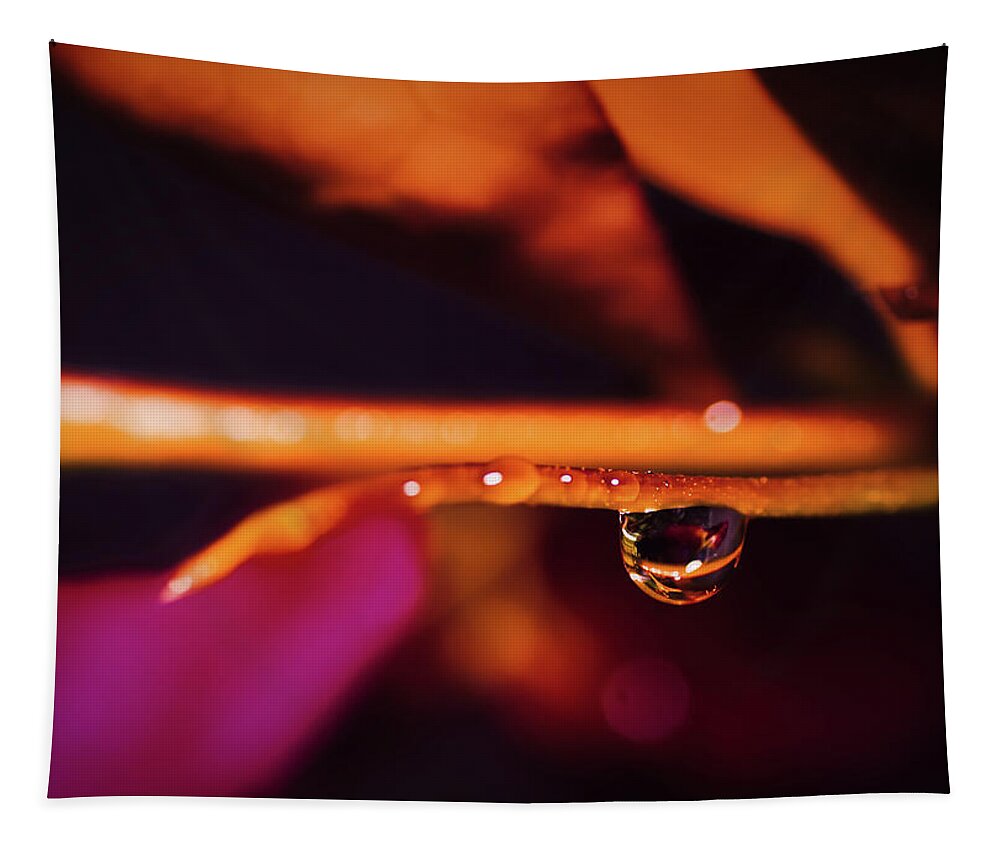 Macro Photography Art Tapestry featuring the photograph Water on The Vine by Gian Smith
